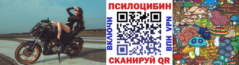 Псилоцибиновые грибы GOLDEN TEACHER  Безенчук 